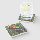 Beautiful Macaw Stone Untersetzer (Seitenansicht)