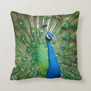 Beautiful Male Peacock Cushion Kissen
