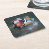 Beautiful Mandarin Duck Paper Untersetzer (angewinkelt)