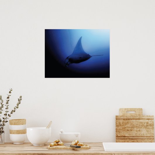 Beautiful Manta Ray Poster (Küche)