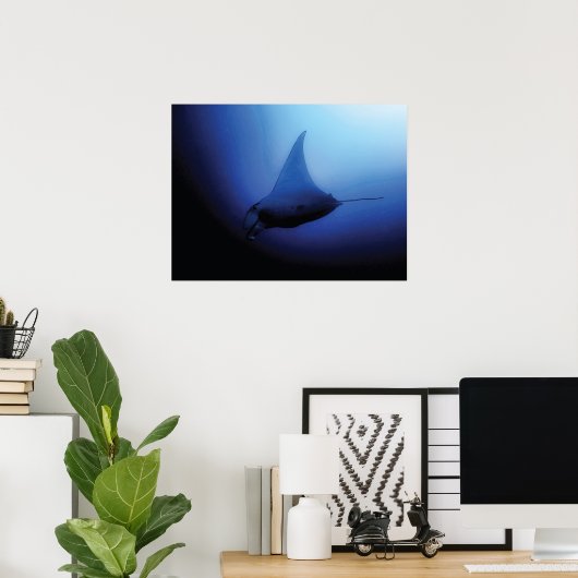 Beautiful Manta Ray Poster (Heimbüro)