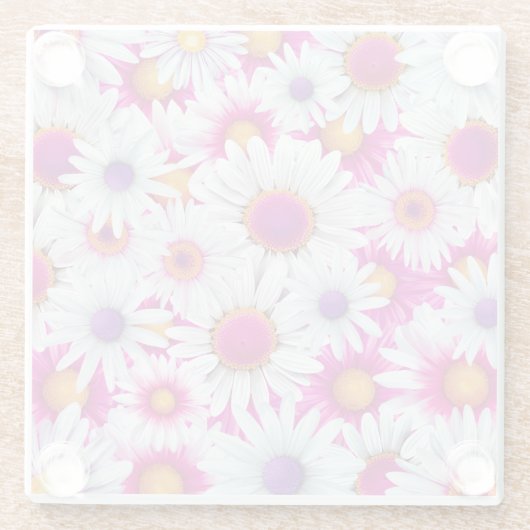 Beautiful Marguerite Blume Untersetzer (Rückseite)