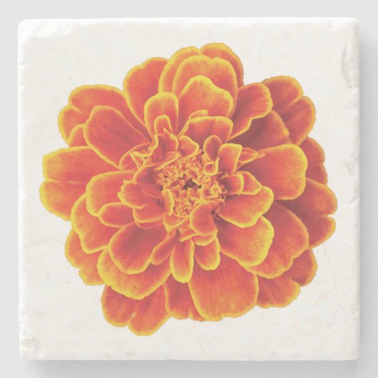 Beautiful Marigold Stone Untersetzer (Vorderseite)