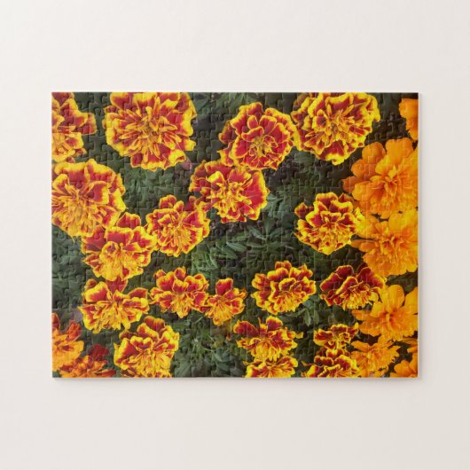 Beautiful Marigolds Jigsaw Puzzle (Horizontal)