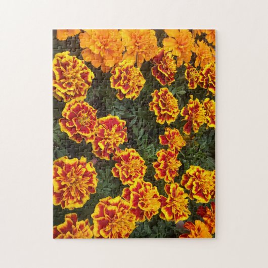 Beautiful Marigolds Jigsaw Puzzle (Vertikal)