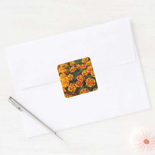 Beautiful Marigolds Sticker Set (Umschlag)