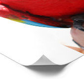 Beautiful McCaw Poster (Ecke)