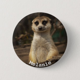Beautiful Meerkat Button