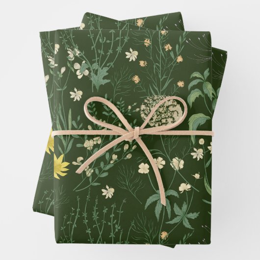Beautiful Mixed Pastell Wildblumen Green Geschenkpapier Set (Beispiel)