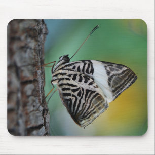 Beautiful Mosaic Zebra Butterfly Mousepad