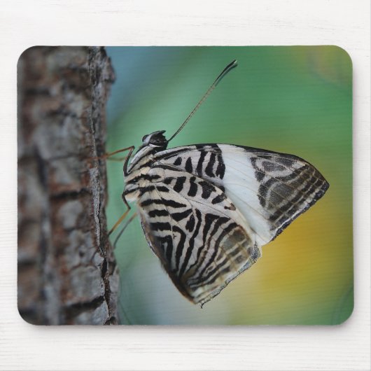 Beautiful Mosaic Zebra Butterfly Mousepad (Vorne)