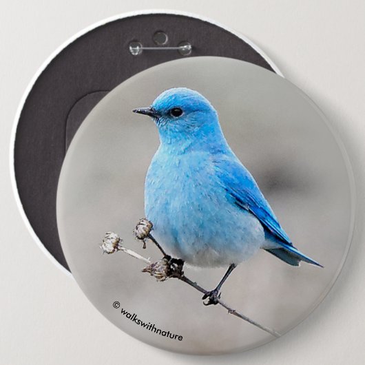 Beautiful Mountain Bluebird Button (Vorne & Hinten)