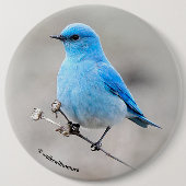 Beautiful Mountain Bluebird Button (Vorderseite)