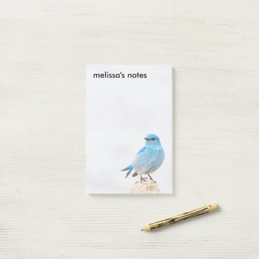 Beautiful Mountain Bluebird Post-it Klebezettel (Auf Schreibtisch)