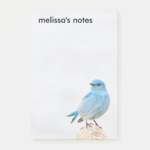 Beautiful Mountain Bluebird Post-it Klebezettel