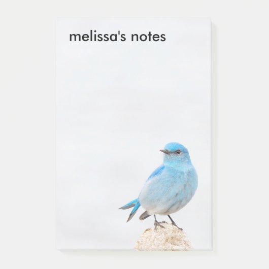 Beautiful Mountain Bluebird Post-it Klebezettel (Vorderseite)