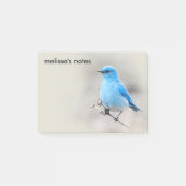 Beautiful Mountain Bluebird Post-it Klebezettel (Vorderseite)