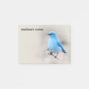 Beautiful Mountain Bluebird Post-it Klebezettel