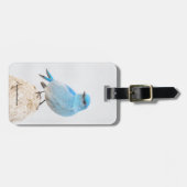 Beautiful Mountain Bluebird Songbird am Strand Gepäckanhänger (Vorderseite horizontal)