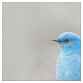 Beautiful Mountain Bluebird Stoff (Nahaufnahme)