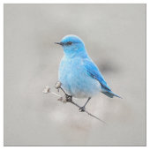 Beautiful Mountain Bluebird Stoff (Muster)