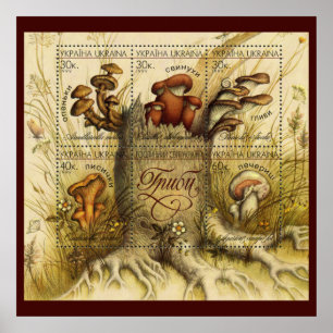 Beautiful Mushroom Briefmarke ~ Toadstool Ukraine  Poster