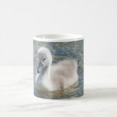 Beautiful Mute Swan Duckling Kaffeetasse (Mittel)