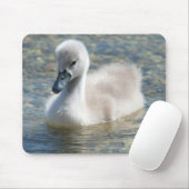 Beautiful Mute Swan Duckling Mousepad (Mit Mouse)