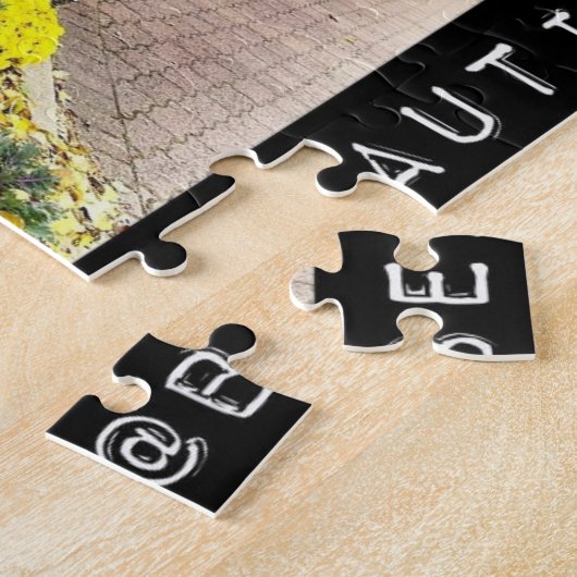 Beautiful Naperville - Cloudy Dandelion Fountain Puzzle (Seite)