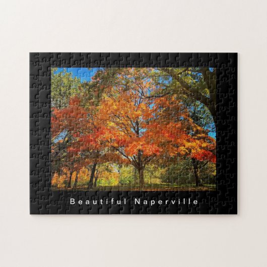 Beautiful Naperville - Herbstblätter Puzzle (Horizontal)