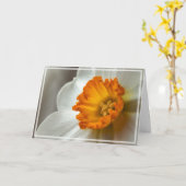 Beautiful Narcissus Bloom Macro Karte (Gelbe Blume)