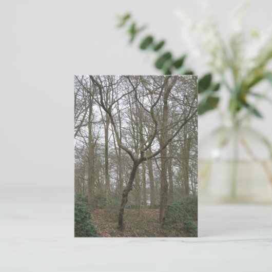 Beautiful Nature I, Send Ugly Postcard Collection Postkarte (Stehend Vorderseite)