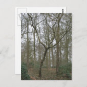 Beautiful Nature I, Send Ugly Postcard Collection Postkarte (Vorne/Hinten)