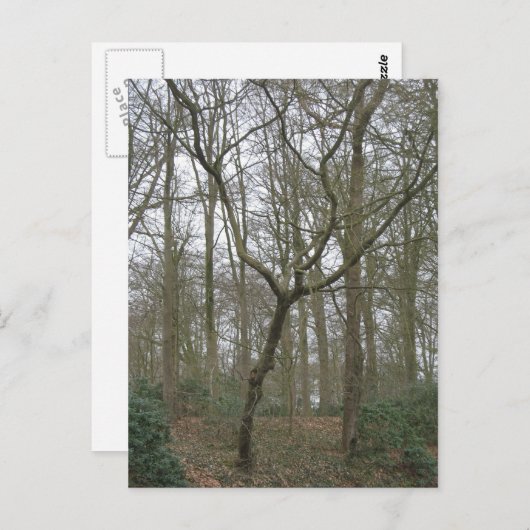 Beautiful Nature I, Send Ugly Postcard Collection Postkarte (Vorne/Hinten)