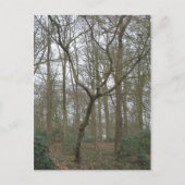 Beautiful Nature I, Send Ugly Postcard Collection Postkarte (Vorderseite)