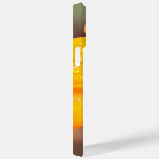 Beautiful Orange African Daisy Foto Custom Case-Mate iPhone Hülle (Rückseite / Rechts)