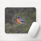 Beautiful Orange Brasted Flame Robin Mousepad (Mit Mouse)