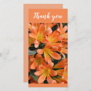 Beautiful Orange Kaffir Lily Blume Dankeskarte