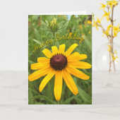 Beautiful Orange Rudbeckia Blume Template Karte (Gelbe Blume)