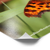 Beautiful Orange Satyr Comma Butterfly Fotodruck (Ecke)