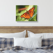 Beautiful Orange Satyr Comma Butterfly Leinwanddruck (Insitu (Schlafzimmer))