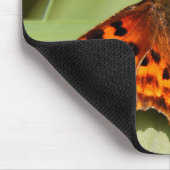 Beautiful Orange Satyr Comma Butterfly Mousepad (Ecke)