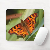 Beautiful Orange Satyr Comma Butterfly Mousepad (Mit Mouse)