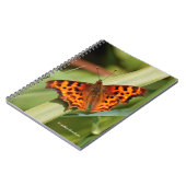 Beautiful Orange Satyr Comma Butterfly Notizblock (Linke Seite)