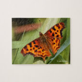 Beautiful Orange Satyr Comma Butterfly Puzzle (Horizontal)
