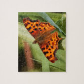 Beautiful Orange Satyr Comma Butterfly Puzzle (Vertikal)