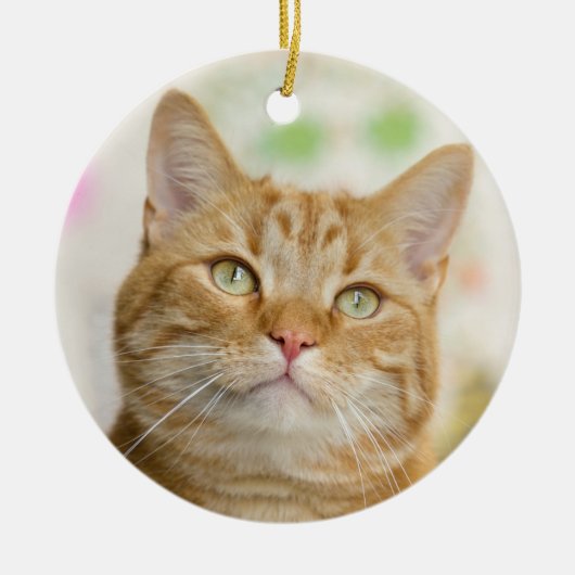 Beautiful Orange Tabby Cat Nah Up Keramik Ornament (Vorne)