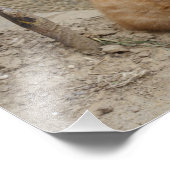 Beautiful Orange Tabby Kitten Fotodruck (Ecke)
