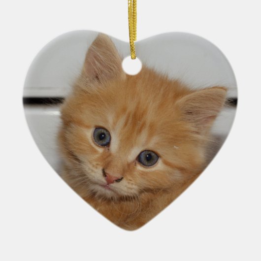Beautiful Orange Tabby Kitten Keramik Ornament (Vorne)