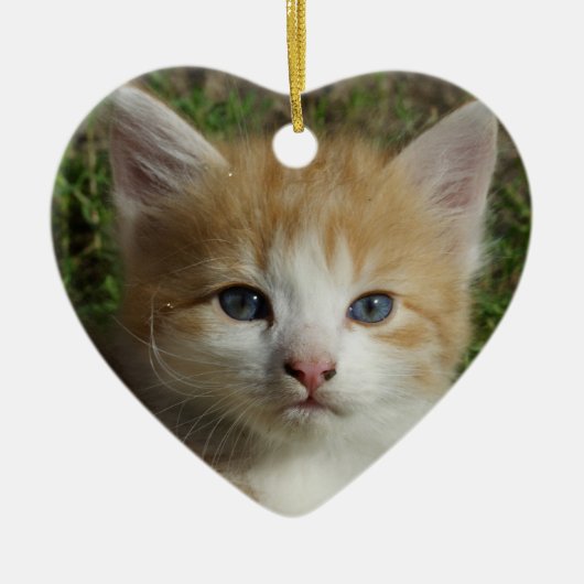 Beautiful Orange Tabby Kitten Keramik Ornament (Vorne)
